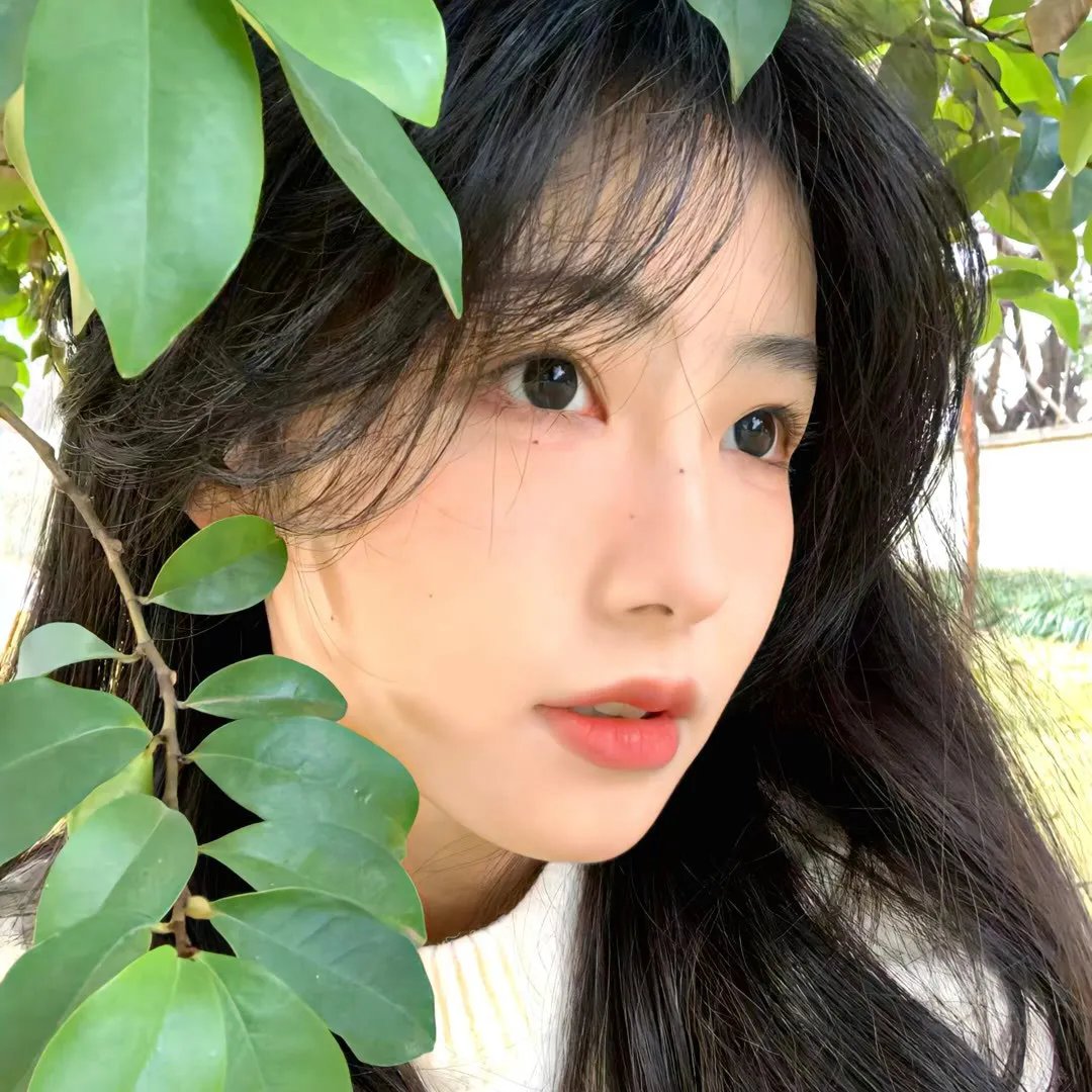 俗世清流 海报