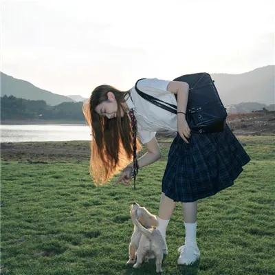 动画综艺